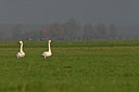 BUITEN BEELD Foto: 17078