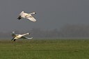 BUITEN BEELD Foto: 17086