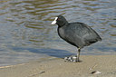 BUITEN BEELD Foto: 17139