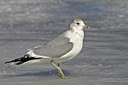 BUITEN BEELD Foto: 17164