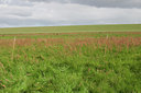 BUITEN BEELD Foto: 17181