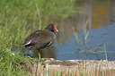 BUITEN BEELD Foto: 17189