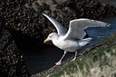BUITEN BEELD Foto: 17217