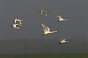 BUITEN BEELD Foto: 17224