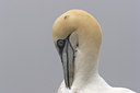 BUITEN BEELD Foto: 17257