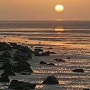 BUITEN BEELD Foto: 17306