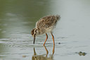 BUITEN BEELD Foto: 17308