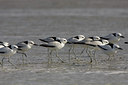BUITEN BEELD Foto: 17320