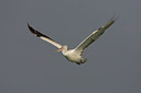 BUITEN BEELD Foto: 17325