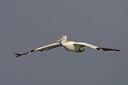 BUITEN BEELD Foto: 17326