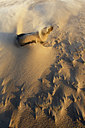BUITEN BEELD Foto: 17344