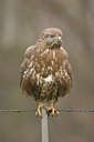 BUITEN BEELD Foto: 17374
