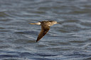 BUITEN BEELD Foto: 17449