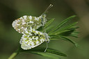 BUITEN BEELD Foto: 17464