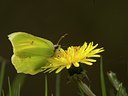 BUITEN BEELD Foto: 17498