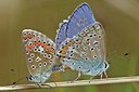 BUITEN BEELD Foto: 17503