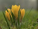 BUITEN BEELD Foto: 17569