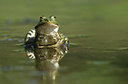 BUITEN BEELD Foto: 17629