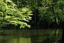BUITEN BEELD Foto: 17683