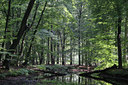 BUITEN BEELD Foto: 17693