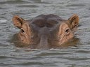 BUITEN BEELD Foto: 17764