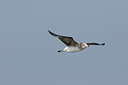 BUITEN BEELD Foto: 17801