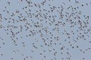 BUITEN BEELD Foto: 17808