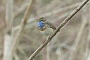 BUITEN BEELD Foto: 17820