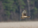 BUITEN BEELD Foto: 17821