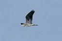 BUITEN BEELD Foto: 17826
