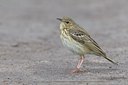 BUITEN BEELD Foto: 17840