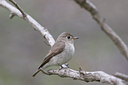BUITEN BEELD Foto: 17853