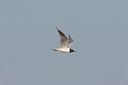 BUITEN BEELD Foto: 17859