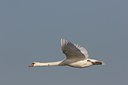 BUITEN BEELD Foto: 17973