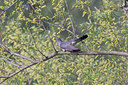 BUITEN BEELD Foto: 17985