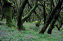 BUITEN BEELD Foto: 179022
