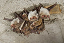 BUITEN BEELD Foto: 179117