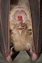 BUITEN BEELD Foto: 179133