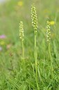 BUITEN BEELD Foto: 179165