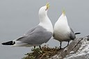 BUITEN BEELD Foto: 179200