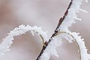BUITEN BEELD Foto: 179266
