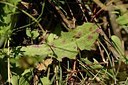 BUITEN BEELD Foto: 179301