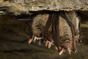 BUITEN BEELD Foto: 179390