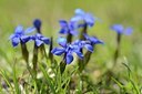 BUITEN BEELD Foto: 179445