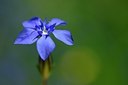 BUITEN BEELD Foto: 179446