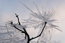 BUITEN BEELD Foto: 179505