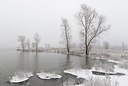 BUITEN BEELD Foto: 179509