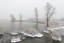 BUITEN BEELD Foto: 179510