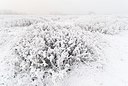 BUITEN BEELD Foto: 179518