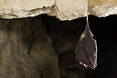 BUITEN BEELD Foto: 179531